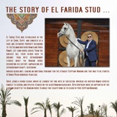 n.36 - The story of El Farida Stud