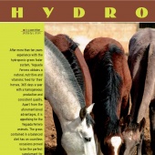 n.5 - Hydroponic
