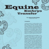 n.13 - Embryo Transfer
