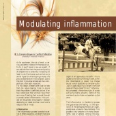 n.16 - Inflammaton

