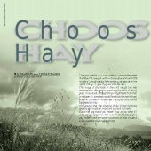 n.19 - Choosing Hay
