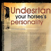 n.22 - Horses Personality
