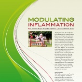 n.26 - Inflammation
