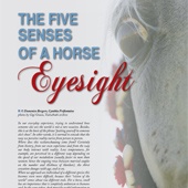 n.30 - The five senses