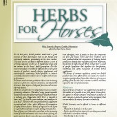 n.35 - Herbs for Horses