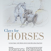 n.51/2021 - Clays for horses