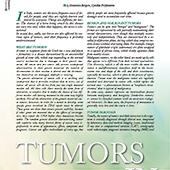 n.53/2021 - Tumors in Horses