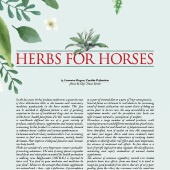 n.56-2022 - Herbs for Horses